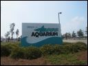 AUT_39708.JPG