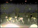 AUT_40010.JPG