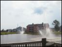 AUT_40113.JPG