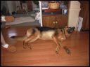 AUT_40303.JPG