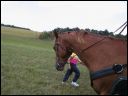 AUT_40367.JPG