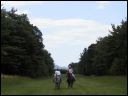 AUT_40378.JPG