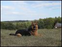 AUT_40501.JPG