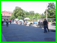IMG_7364.jpg