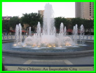 IMG_7431.jpg