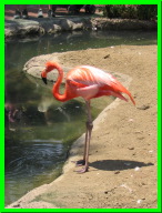 IMG_7528.jpg