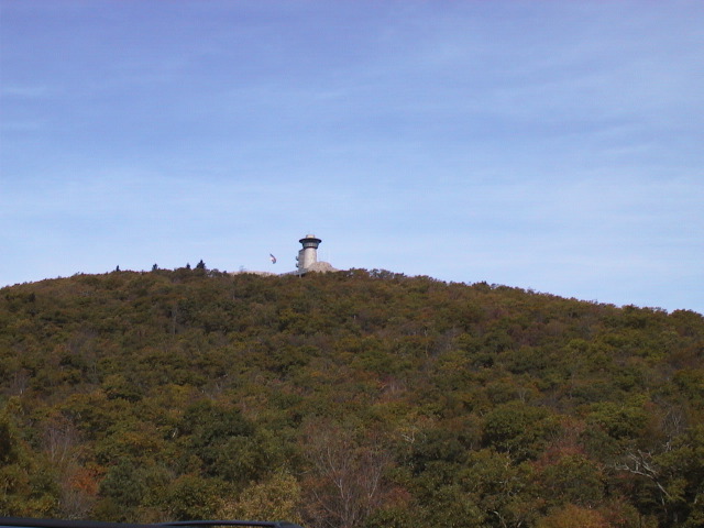 aut_8516.jpg