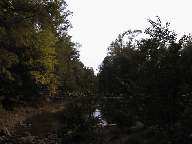 aut_8560.jpg