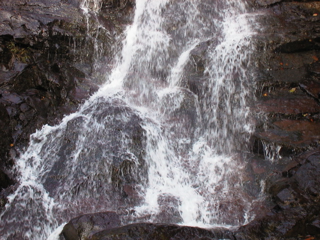aut_8570.jpg