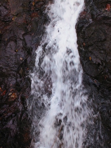 aut_8573.jpg