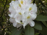 5-Other-04.JPG