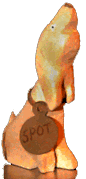 Photo of Spot