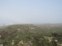 IMG 5486  Foggy sand dunes, South Padre Island, TX
