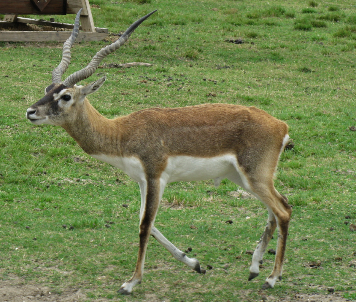 IMG_4743.JPG