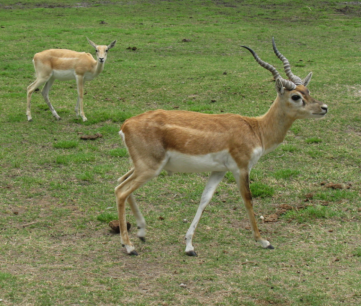 IMG_4865.JPG