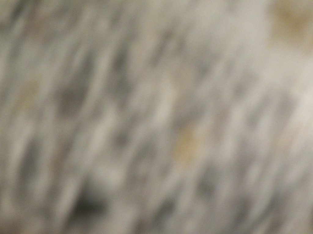 IMG 1604