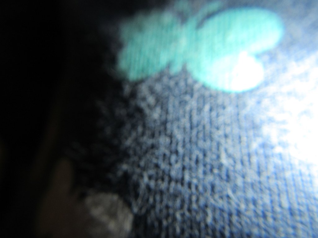 IMG 1648