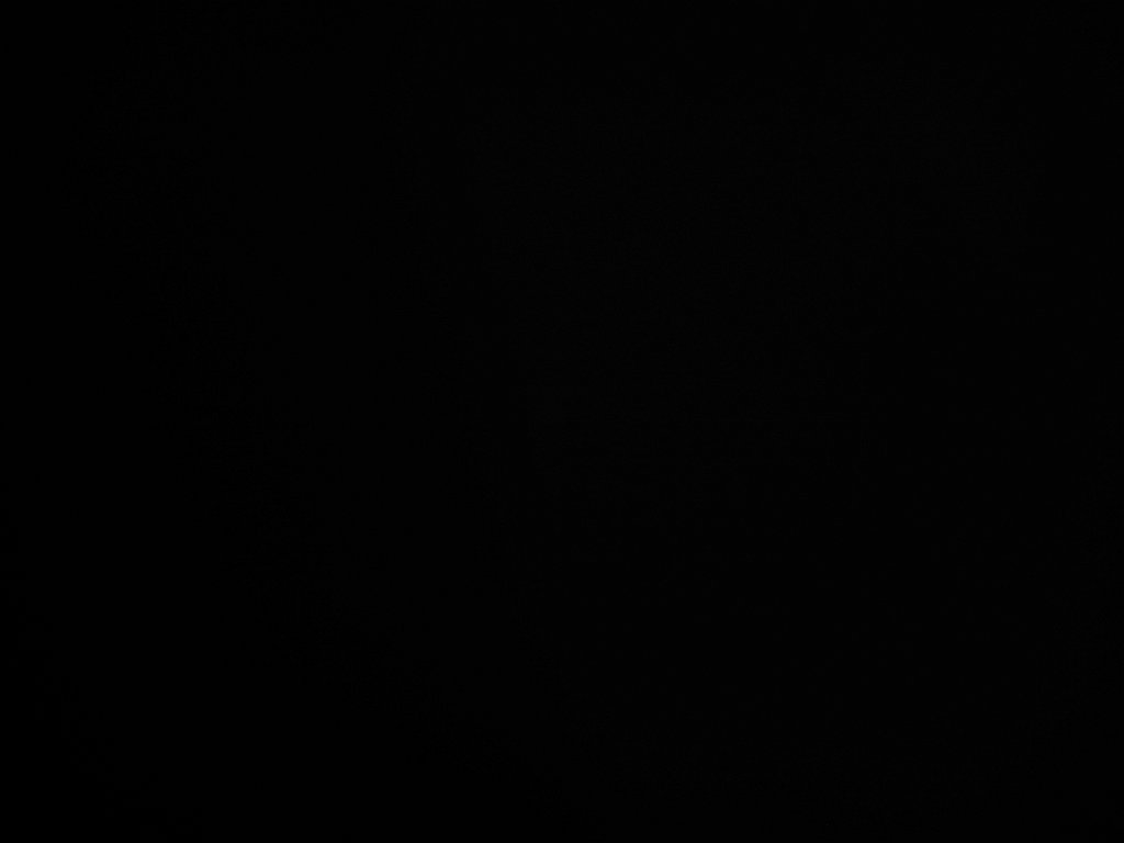 IMG 1675