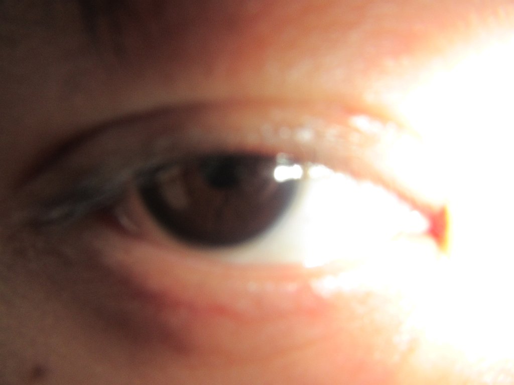 IMG 2515
