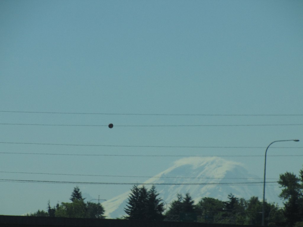IMG 3973
