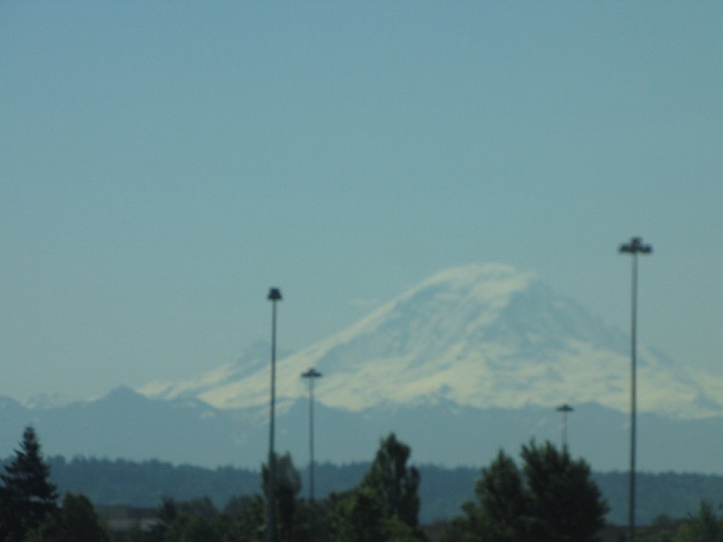 IMG 3976