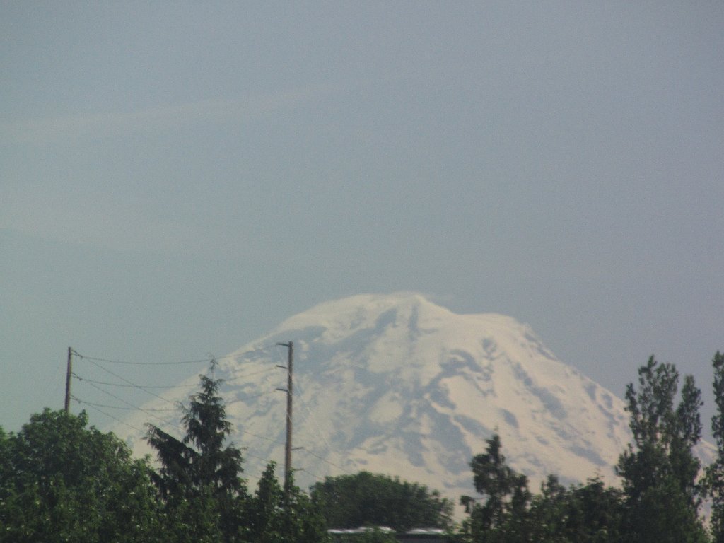 IMG 3995