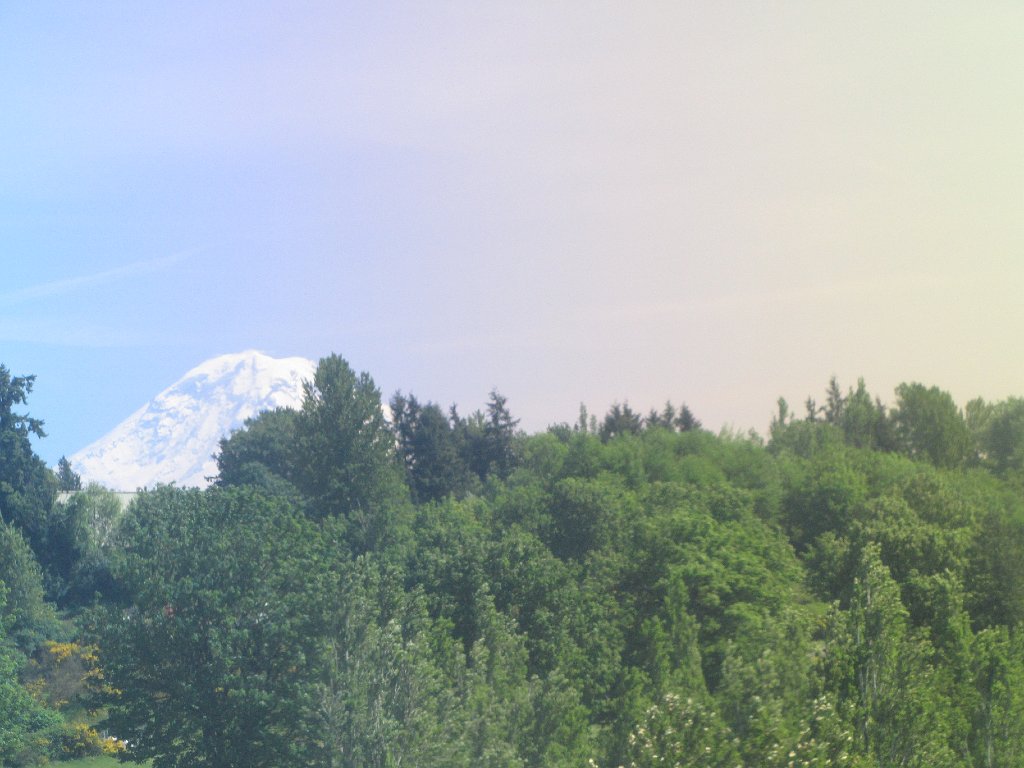 IMG 3996