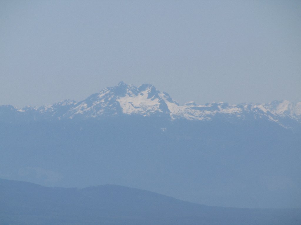 IMG 4004