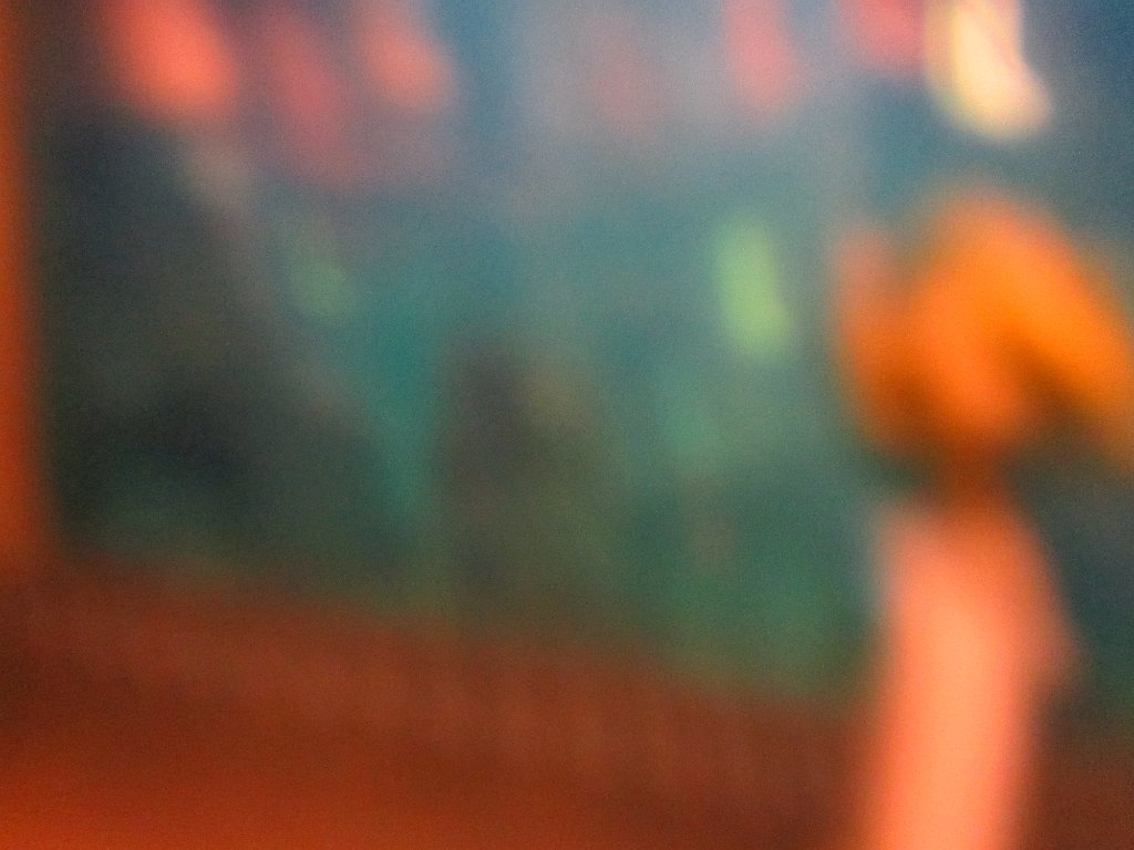 IMG 2084