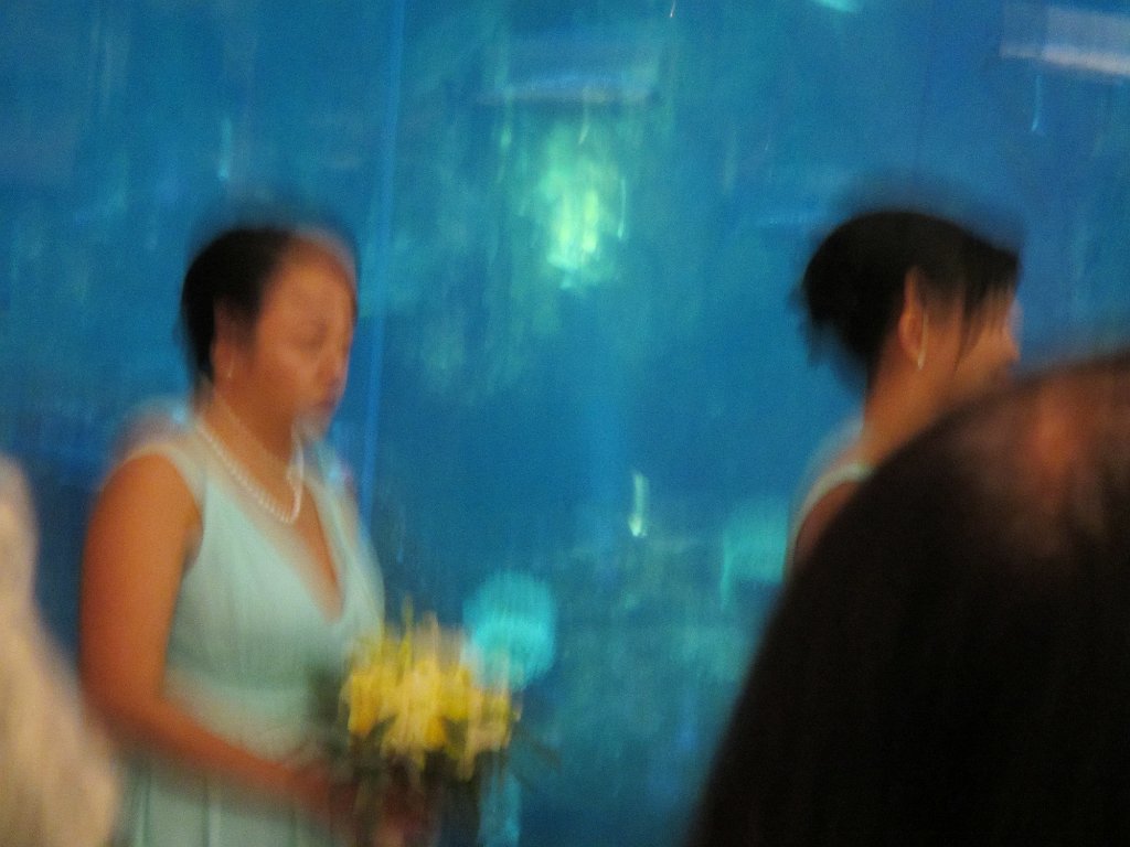 IMG 2116