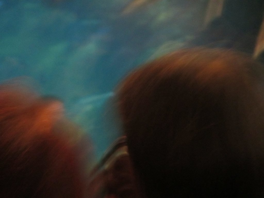 IMG 2120