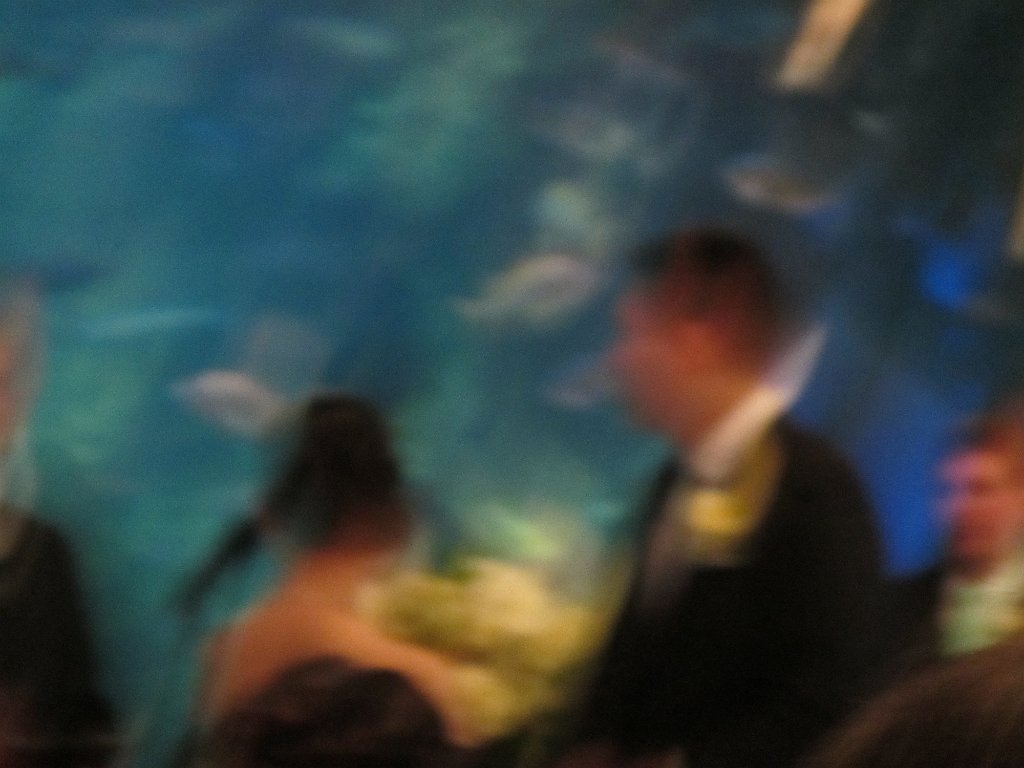 IMG 2121