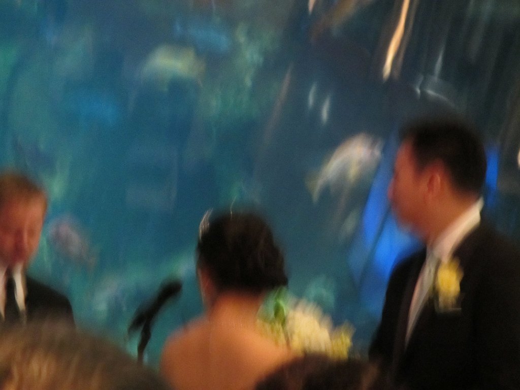 IMG 2122