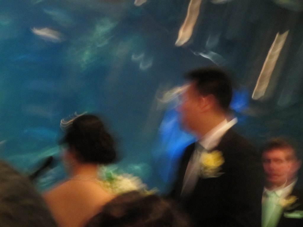 IMG 2123