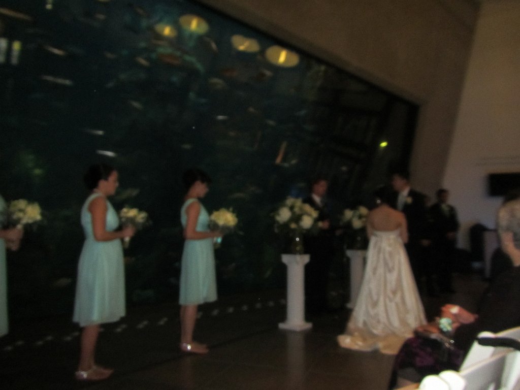 IMG 2143