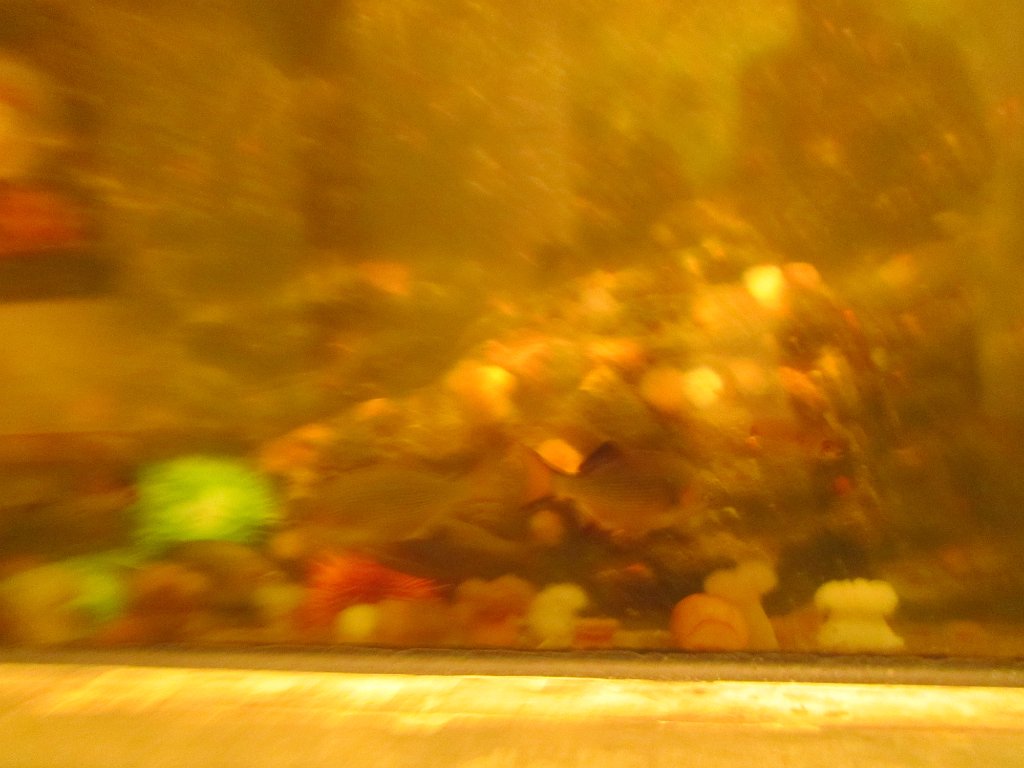 IMG 2151