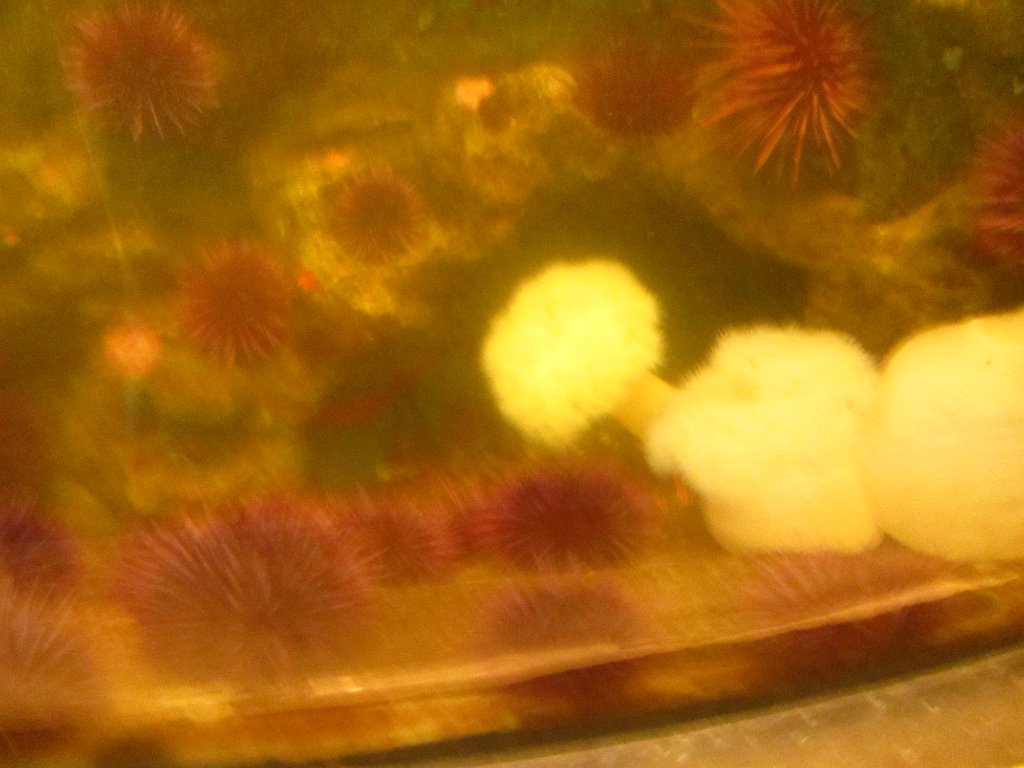 IMG 2152
