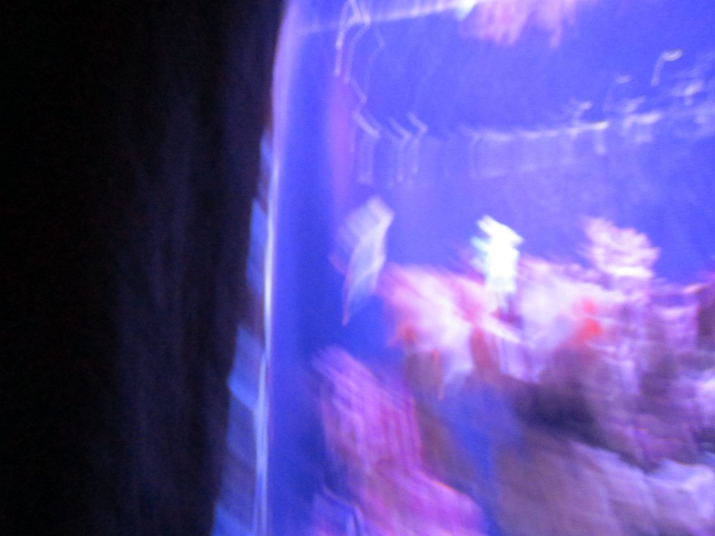 IMG 2175