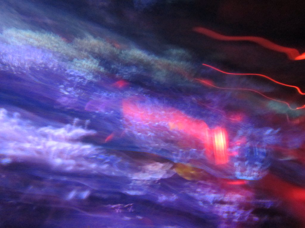 IMG 2184