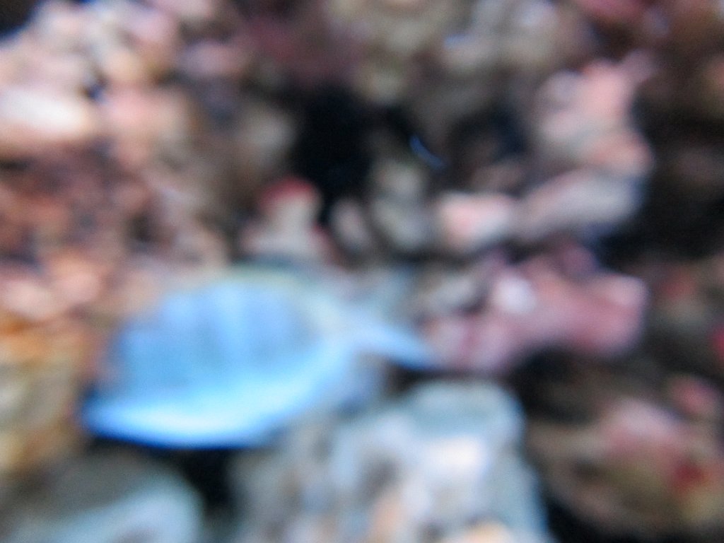 IMG 2187