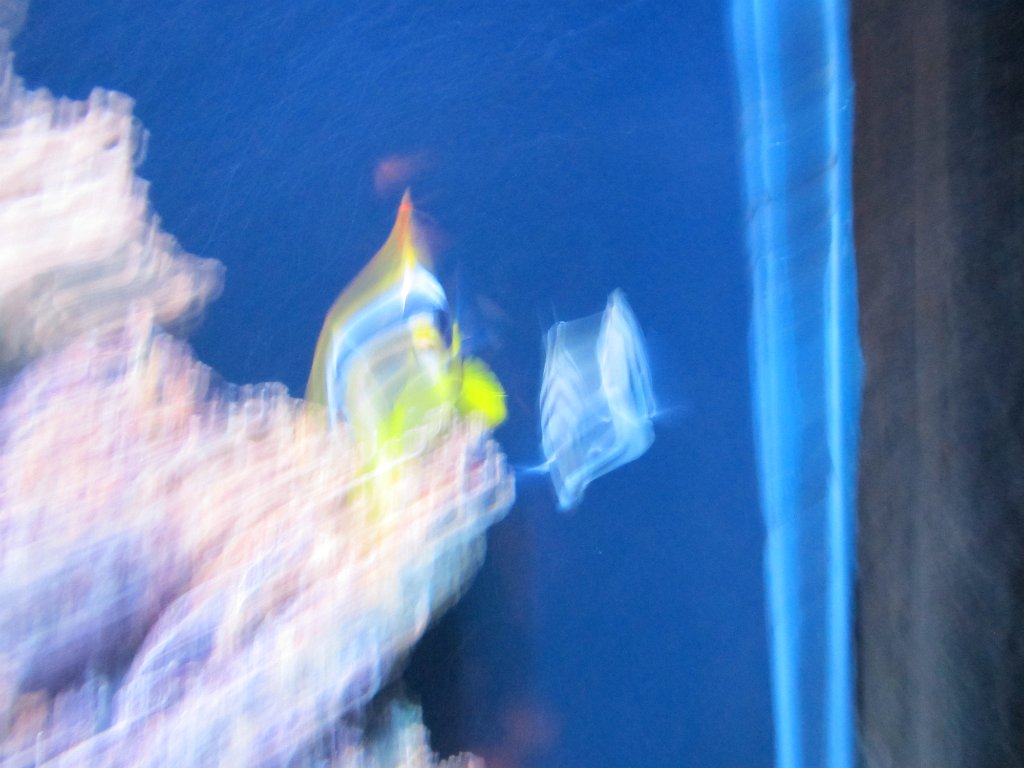 IMG 2188