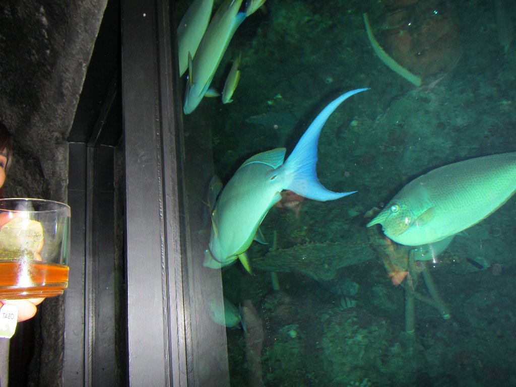 IMG 2201