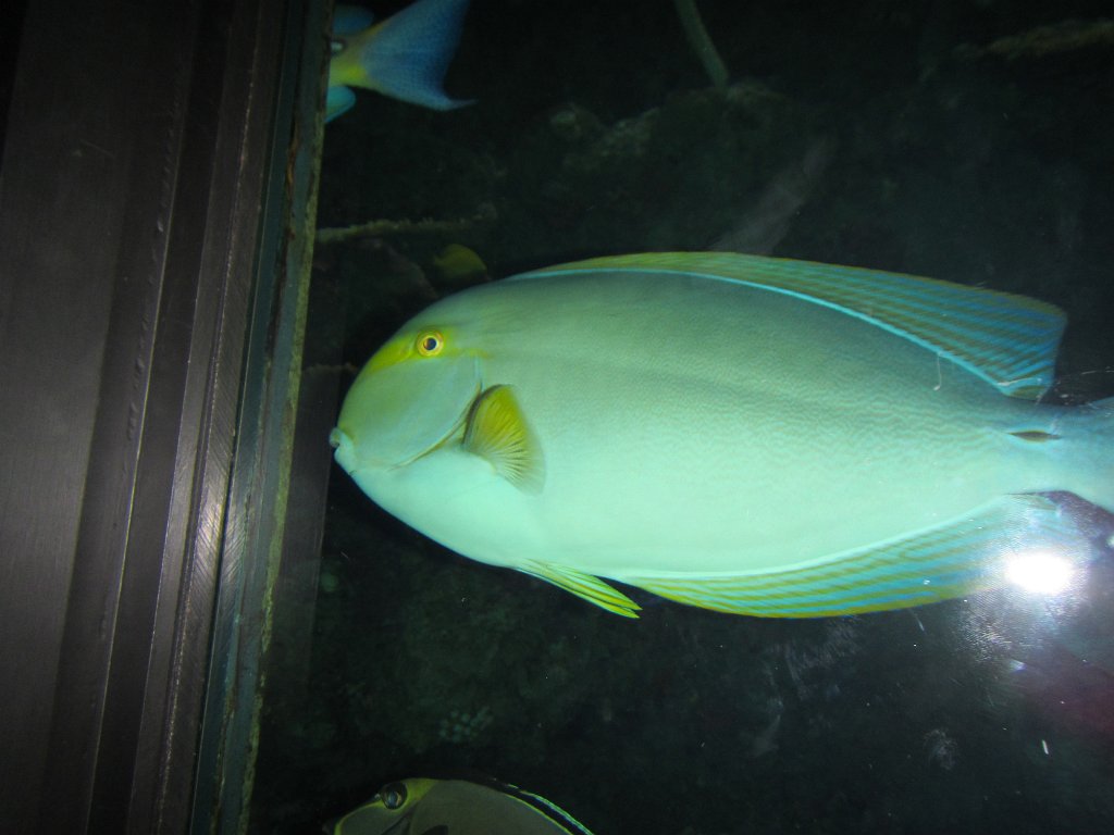 IMG 2205
