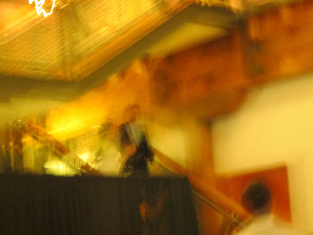 IMG 2235