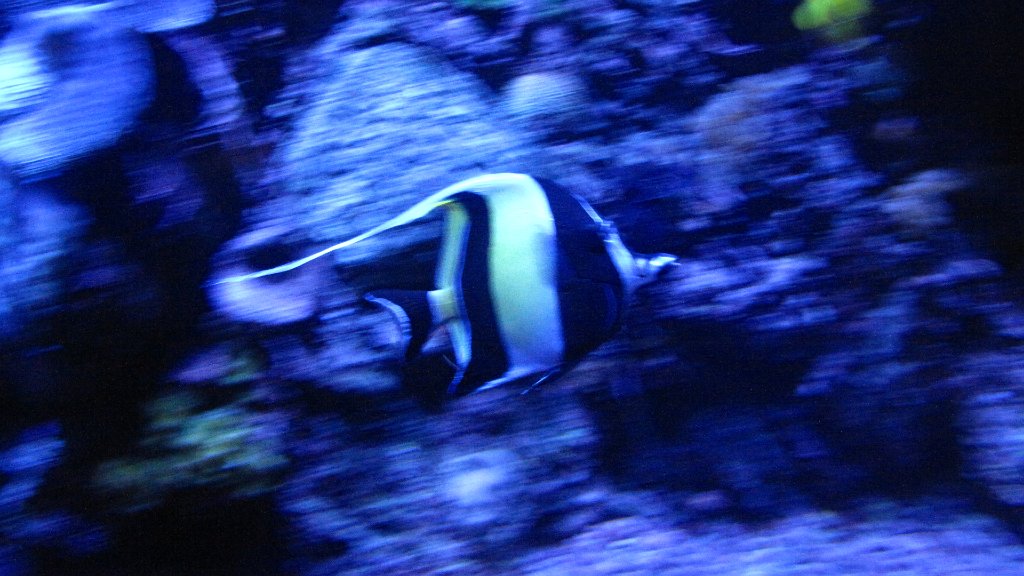 IMG 3077