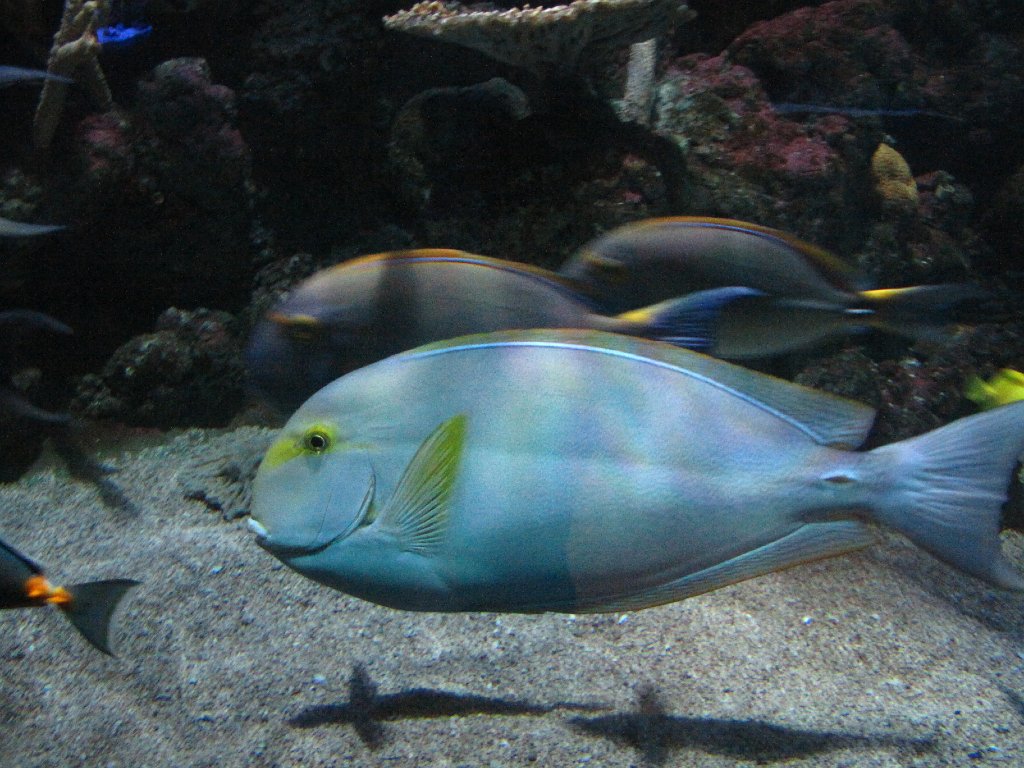 IMG 3078