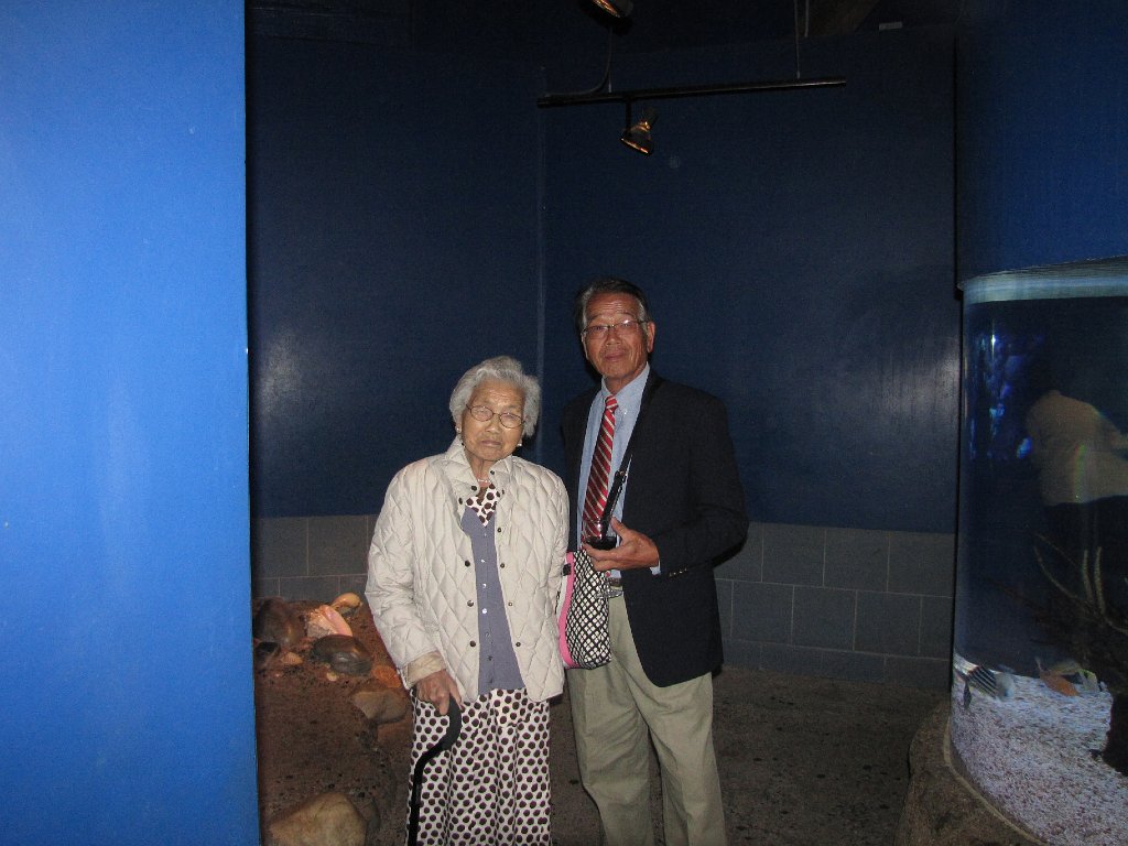 IMG 3082