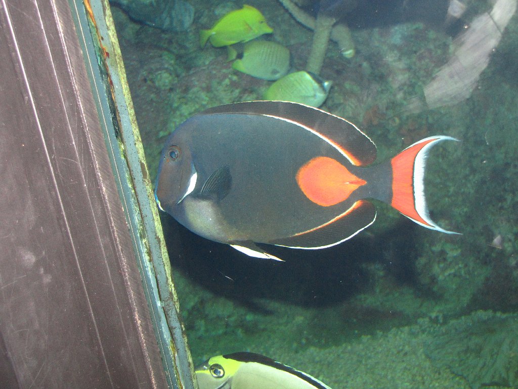 IMG 3122