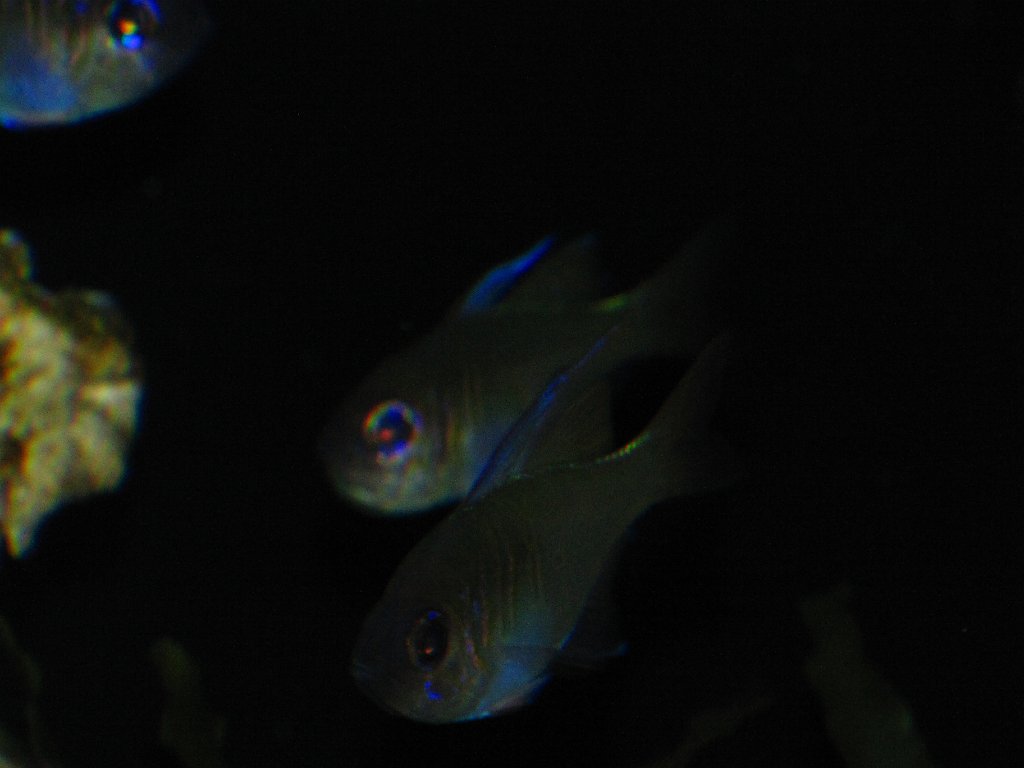IMG 3123