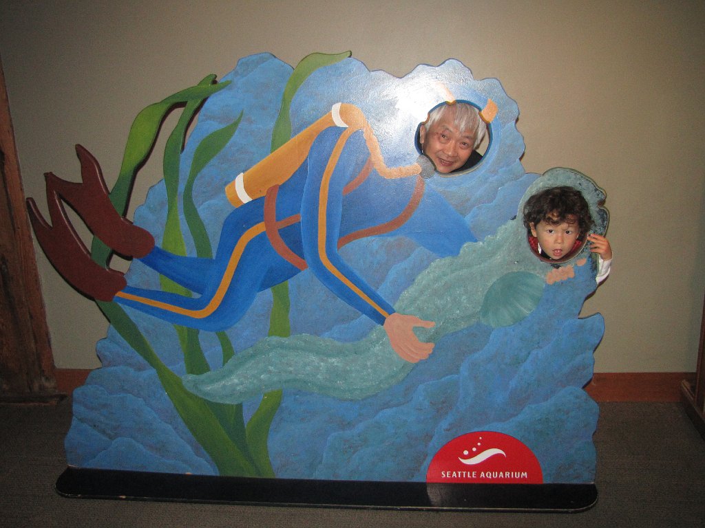 IMG 3137